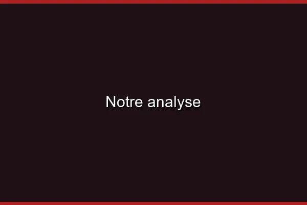 Notre analyse